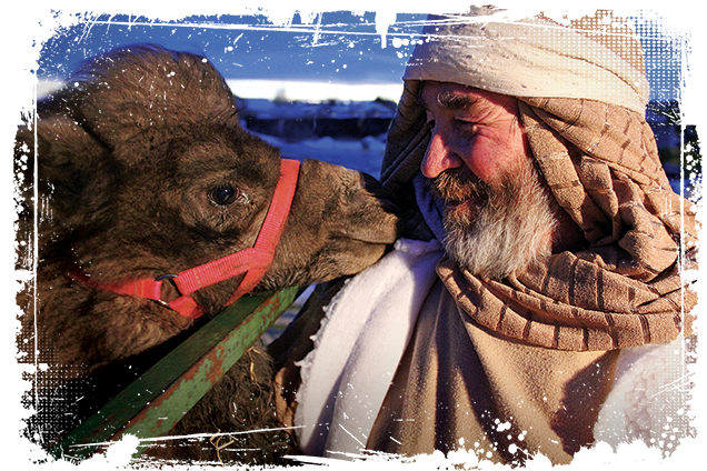 Man with camel